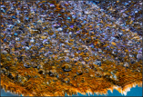 (Abbild ca. 10% Grösse des Originals)